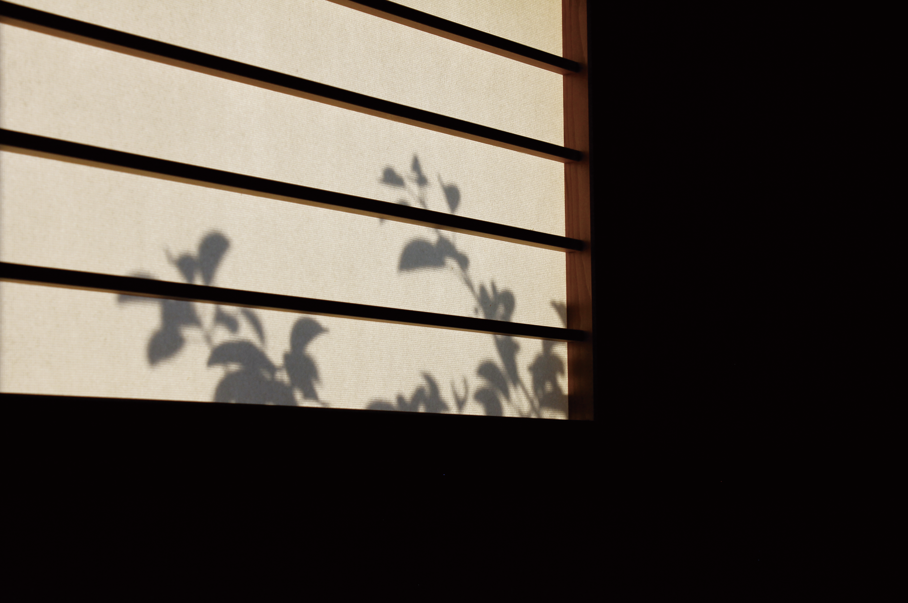 case 15ー 建築士　/　INTERIOR DESIGN GUIDE 2026